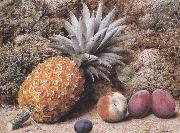 John Sherrin, A Pineapple,a Peach and Plums on a mossy Bank (mk37)